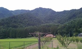 tsubakuro4.jpg